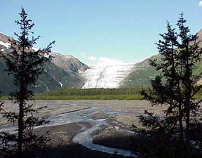 Exit glacier, near Seward