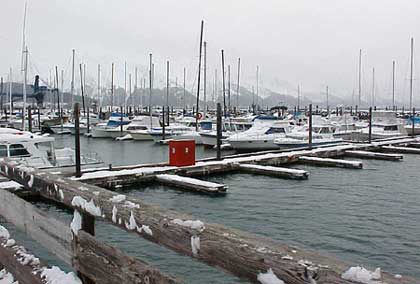 Seward harbor in winter